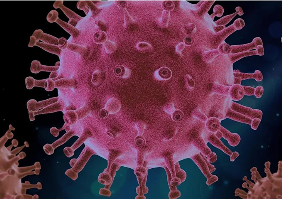 Delta virus