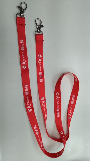 Double clip lanyard